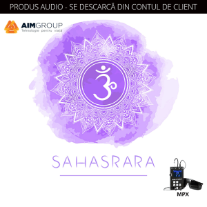SAHASRARA CHAKRA (MINDSYNERGY)
