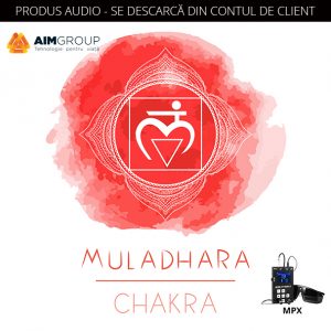 MULADHARA CHAKRA (MINDSYNERGY)