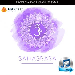 SAHASRARA CHAKRA (AUDIO)