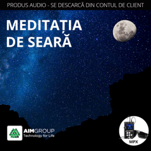 MEDITAȚIA DE SEARĂ (MIND SYNERGY)