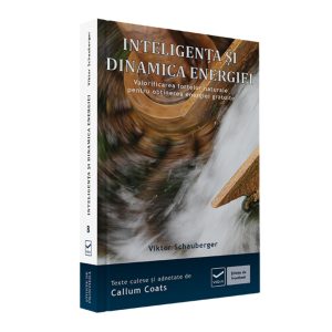 Inteligența și Dinamica Energiei